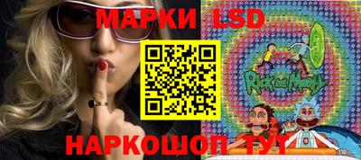 амф Можга